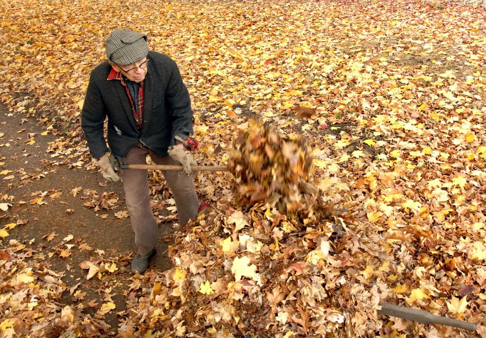 WWW fall 2007 rake man
